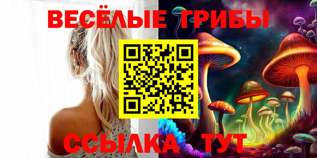 Асино  Псилоцибиновые грибы ЛСД  купить закладку  Вход с VPN 